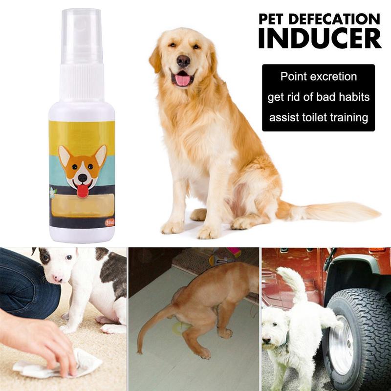 1PCS Dog Potty Train Spray Por - Travel Accessories For Train ulasan dan harga