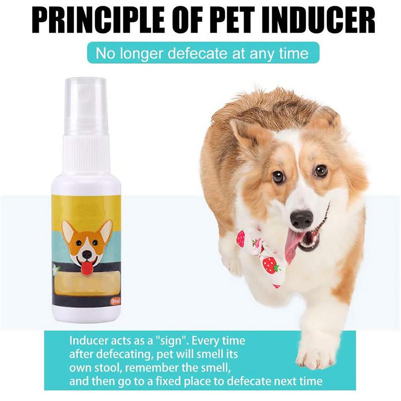 1PCS Dog Potty Train Spray Por - Travel Accessories For Train ulasan dan harga